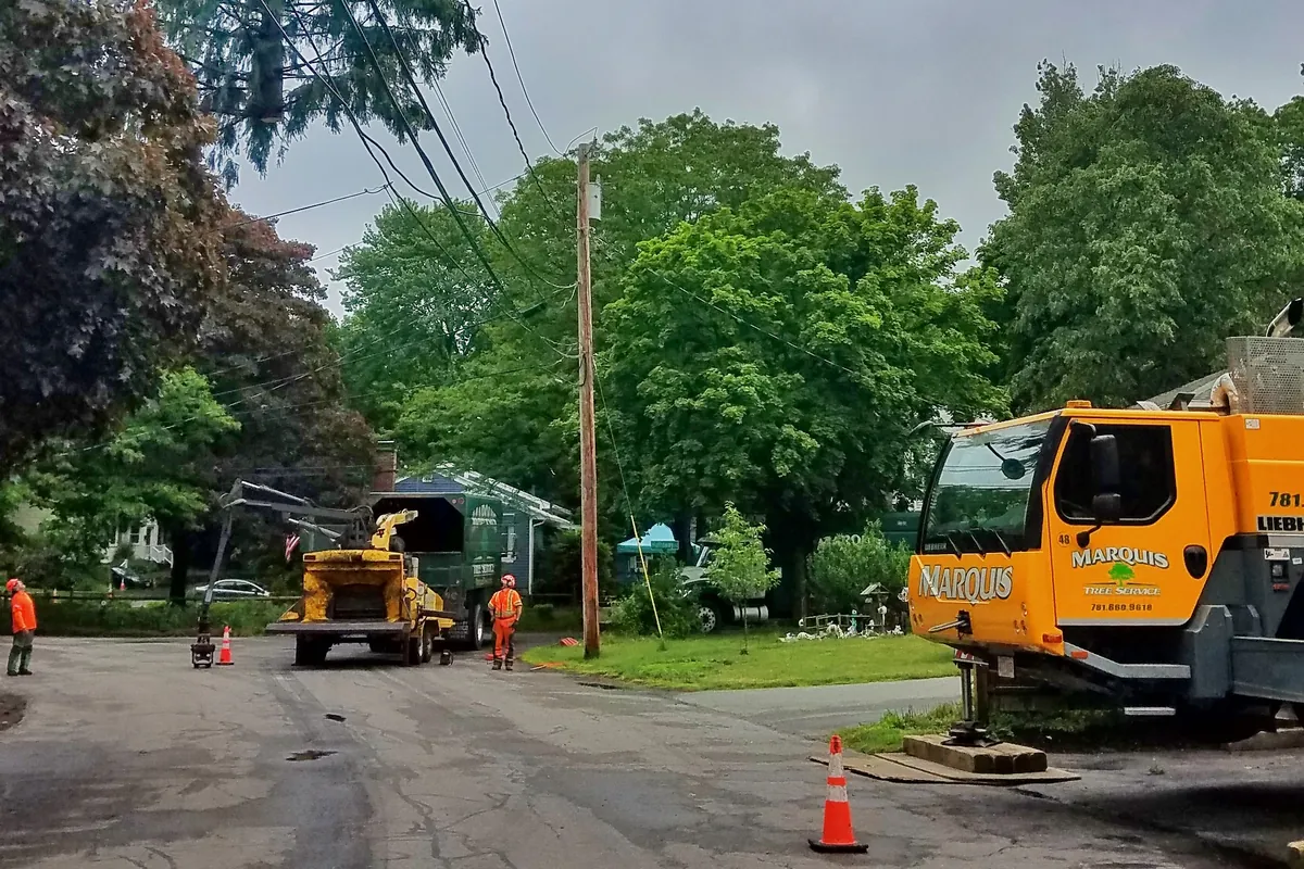 Crane and crew working on a tree near power lines on a residential street